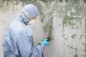 Mold Remediation for Vacation Homes in Griggsville, IL